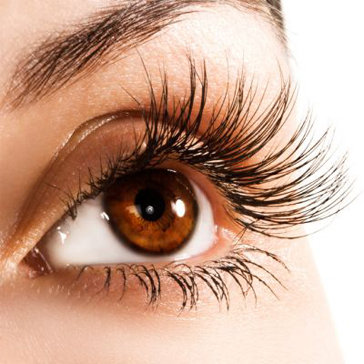 Nối Mi Volume Công Nghệ Hàn Quốc Tại Nối Mi Vian