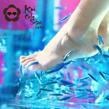 Thư Giãn Tinh Thần - Xả Xì Tress Với Doctor Fish Coffee Tại Koi Cafe...