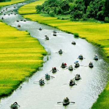 Tour Bái Đính – Khu Du Lịch Tràng An Mới 1 Ngày, Ăn Trưa Buffet, Khởi Hành Hàng Ngày - Cho 01 Người