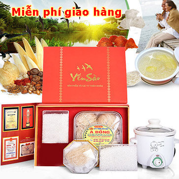 Yến Sào A Đồng Combo 04 Đặc Biệt: 1 Hộp Yến Sào 100Gr + 1 Nồi...