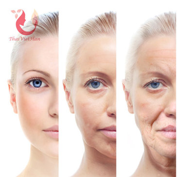 5 Lần Trẻ Hóa Da Hiệu Quả Với Tinh Chất Collagen Vàng Kết Hợp...
