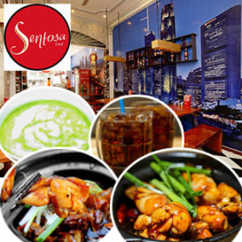 Hệ Thống Cháo Ếch Sentosa (4 CN) - Cháo Ngon, Ếch To Chuẩn Singapore