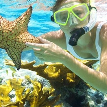 Tour Quy Nhơn - Phú Yên - Nha Trang 3N4Đ Nghỉ KS 4, 5 Sao - Vé Khứ Hồi Xe Lửa
