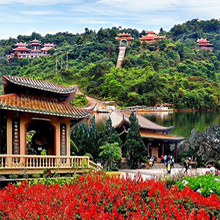 Tour Đà Lạt 3N3Đ Nghỉ KS 2* – Chùa Linh Phước – Đồi Chè Cầu Đất – Vườn Hoa Cẩm Tú Cầu – Buffet Tối Trên Đỉnh Đồi Robin