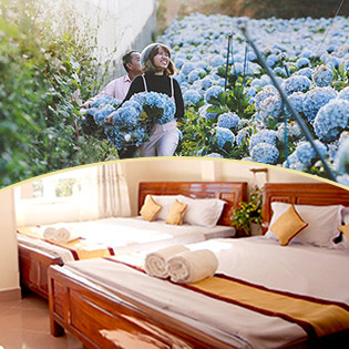 Combo Đà Lạt Cực Hot Cho 02 Người - 3N2Đ Phòng Standard + Tour Tham Quan Nhà Vườn – Những Loài Hoa Đẹp Nhất Đà Lạt
