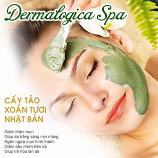 6 Combo VIP 75' Cấy Tảo/ Cấy Hồng Sâm/ Thải Chì/ Liệu Pháp Collagen Tươi Trẻ Hóa/ Massage Body Thảo Dược + Nạ Collagen/ Giảm Béo Sline - Viện Da Dermalogica
