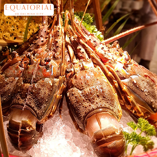 Equatorial - Buffet Tôm Hùm, Cua, Hải Sản, Sashimi Không Giới Hạn