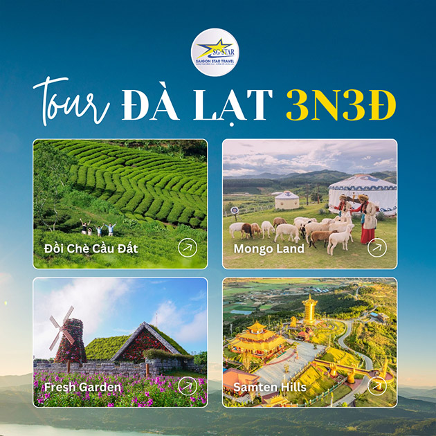 Tour Đà Lạt 3N3Đ - Đồi Chè Cầu Đất - Mongo Land - Samten Hills