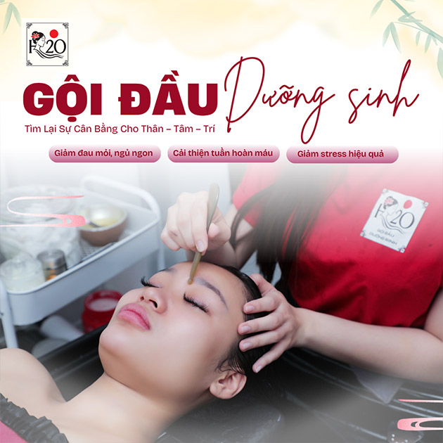 H2O - Gội Đầu Dưỡng Sinh + Massage Đầu, Cổ, Vai, Gáy