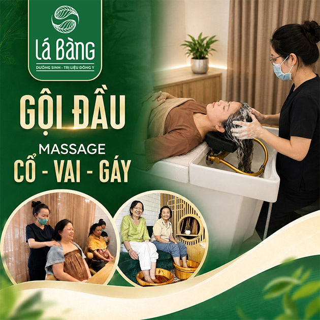 Dưỡng Sinh - Đông Y Lá Bàng - Gội Đầu Dưỡng Sinh + Massage Cổ Vai Gáy