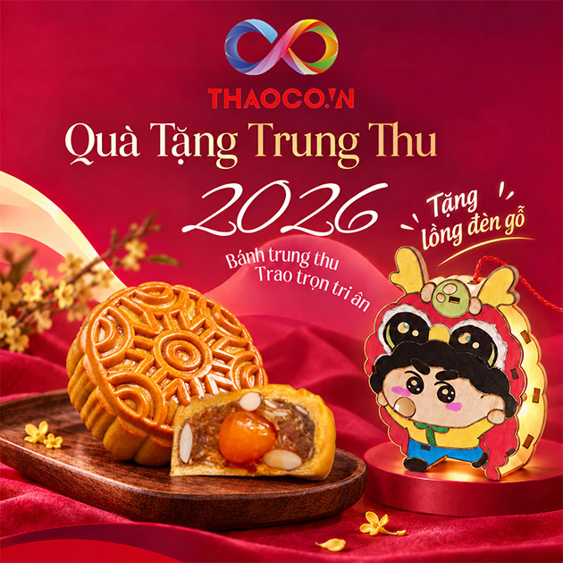 THAOCO - 06 Brand Bánh Trung Thu Ngon Nổi Tiếng + Tặng Lồng Đèn Gỗ