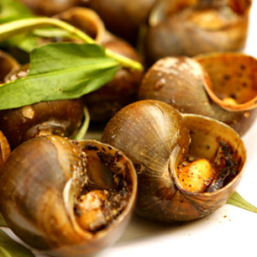 Set Menu 5 Món Tại Quán Ốc Cà Mau Jadin D’amour