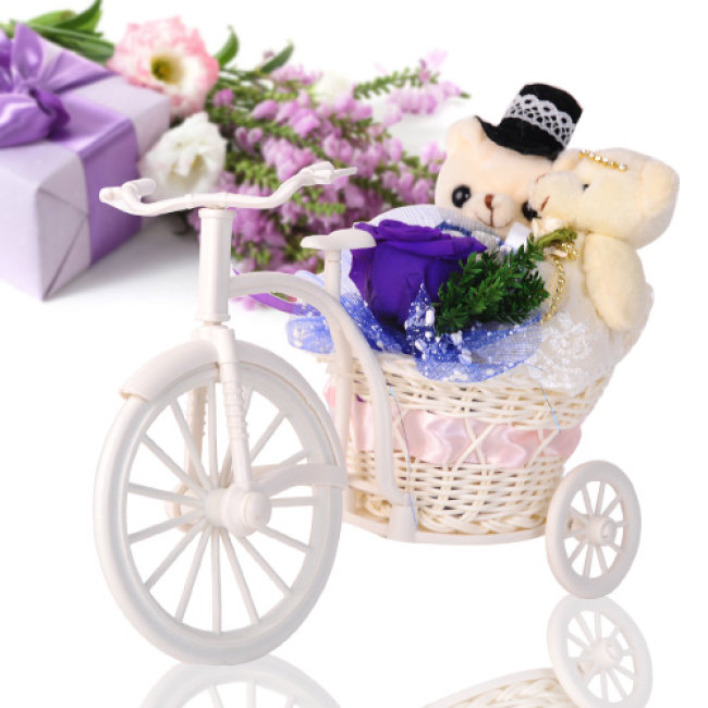 Kết quả hình ảnh cho Xe đạp hoa gấu bông