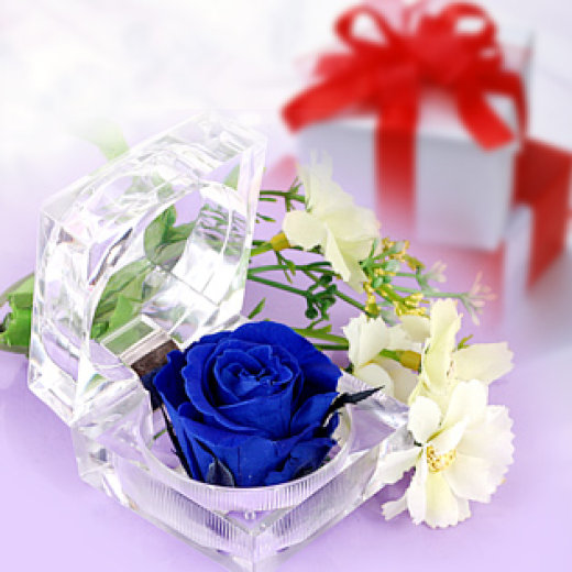 BÓ HOA LAVENDER KHÔ ĐƯỢC GÓI ĐẸP MẮT LÀM QUÀ TẶNG NGƯỜI THÂN YÊU