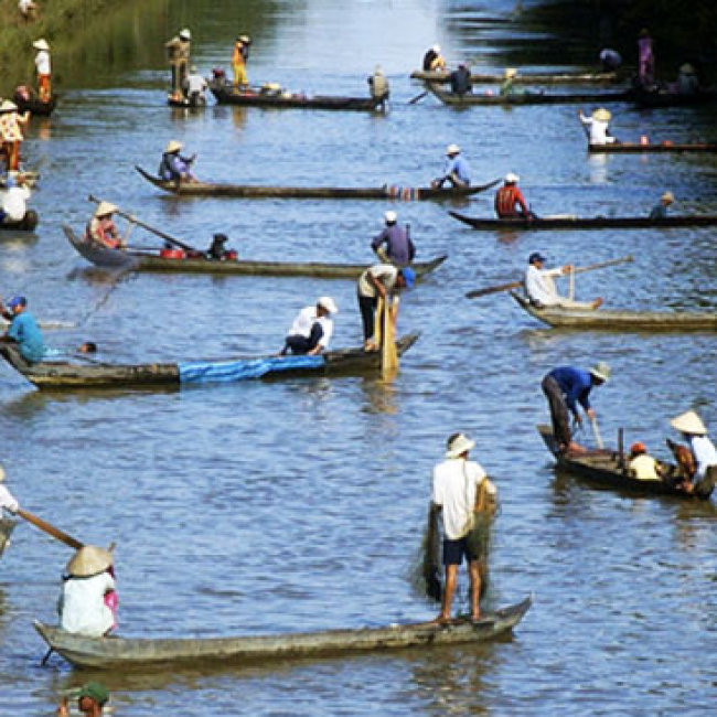 Tour Tát Mương Bắt Cá Miền Tây 1 Ngày Cho 1 Người