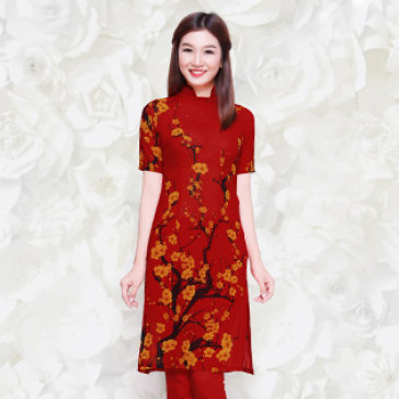 Áo Dài Cách Điệu Thời Trang Glorious